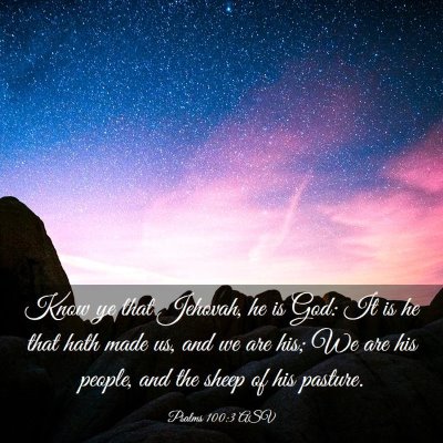Picture 03 - Psalms 100:3 ASV - Know ye that Jehovah, he is God: It is he that - Bible Verse Picture