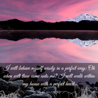 Picture 03 - Psalms 101:2 ASV - I will behave myself wisely in a perfect way: Oh - Bible Verse Picture