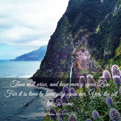 Picture 03 - Psalms 102:13 ASV - Thou wilt arise, and have mercy upon Zion; For it - Bible Verse Picture