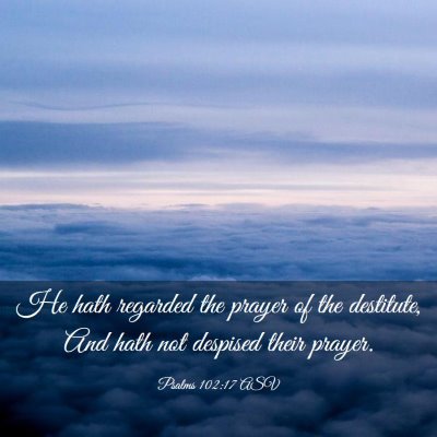Picture 03 - Psalms 102:17 ASV - He hath regarded the prayer of the destitute, And - Bible Verse Picture