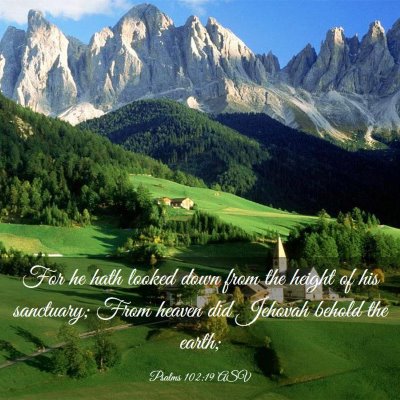 Picture 03 - Psalms 102:19 ASV - For he hath looked down from the height of his - Bible Verse Picture