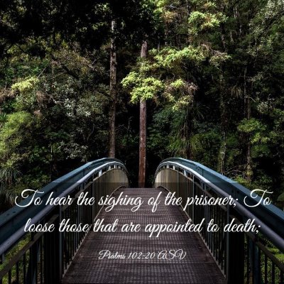 Picture 03 - Psalms 102:20 ASV - To hear the sighing of the prisoner; To loose - Bible Verse Picture