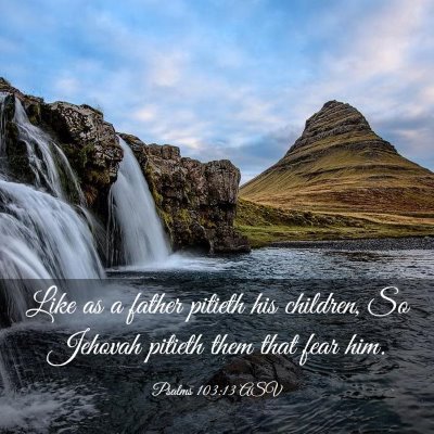 Picture 03 - Psalms 103:13 ASV - Like as a father pitieth his children, So Jehovah - Bible Verse Picture