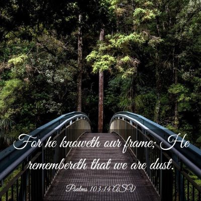 Picture 03 - Psalms 103:14 ASV - For he knoweth our frame; He remembereth that we - Bible Verse Picture