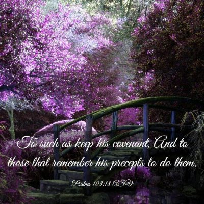 Picture 03 - Psalms 103:18 ASV - To such as keep his covenant, And to those that - Bible Verse Picture