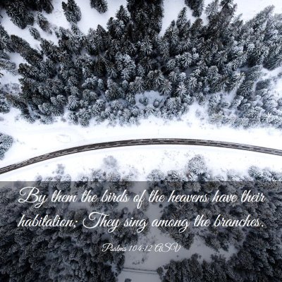 Picture 03 - Psalms 104:12 ASV - By them the birds of the heavens have their - Bible Verse Picture