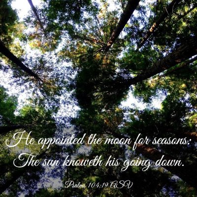 Picture 03 - Psalms 104:19 ASV - He appointed the moon for seasons: The sun - Bible Verse Picture