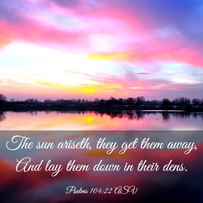 Picture 03 - Psalms 104:22 ASV - The sun ariseth, they get them away, And lay them - Bible Verse Picture