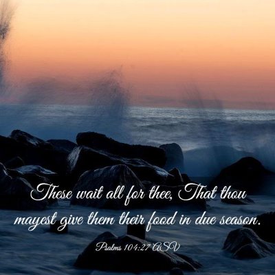 Picture 03 - Psalms 104:27 ASV - These wait all for thee, That thou mayest give - Bible Verse Picture