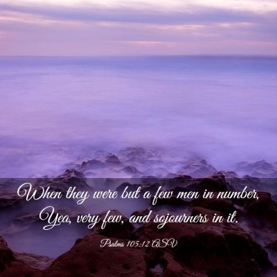 Picture 03 - Psalms 105:12 ASV - When they were but a few men in number, Yea, very - Bible Verse Picture