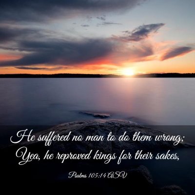 Picture 03 - Psalms 105:14 ASV - He suffered no man to do them wrong; Yea, he - Bible Verse Picture