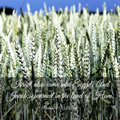 Picture 03 - Psalms 105:23 ASV - Israel also came into Egypt; And Jacob sojourned - Bible Verse Picture