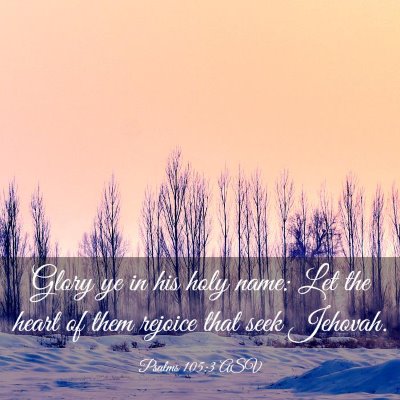 Picture 03 - Psalms 105:3 ASV - Glory ye in his holy name: Let the heart of them - Bible Verse Picture