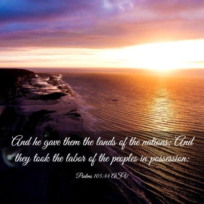 Picture 03 - Psalms 105:44 ASV - And he gave them the lands of the nations; And - Bible Verse Picture