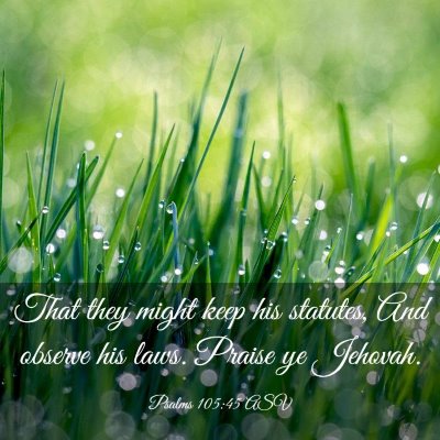 Picture 03 - Psalms 105:45 ASV - That they might keep his statutes, And observe - Bible Verse Picture