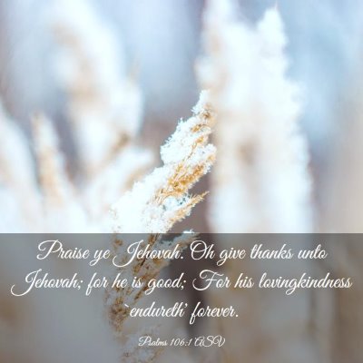 Picture 03 - Psalms 106:1 ASV - Praise ye Jehovah. Oh give thanks unto Jehovah; - Bible Verse Picture
