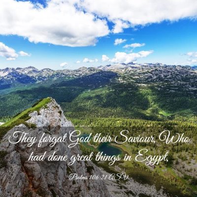Picture 03 - Psalms 106:21 ASV - They forgat God their Saviour, Who had done great - Bible Verse Picture