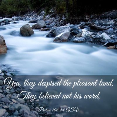 Picture 03 - Psalms 106:24 ASV - Yea, they despised the pleasant land, They - Bible Verse Picture