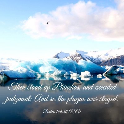 Picture 03 - Psalms 106:30 ASV - Then stood up Phinehas, and executed judgment; - Bible Verse Picture