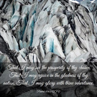 Picture 03 - Psalms 106:5 ASV - That I may see the prosperity of thy chosen, That - Bible Verse Picture