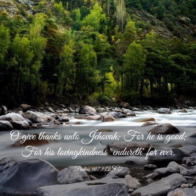 Picture 03 - Psalms 107:1 ASV - O give thanks unto Jehovah; For he is good; For - Bible Verse Picture