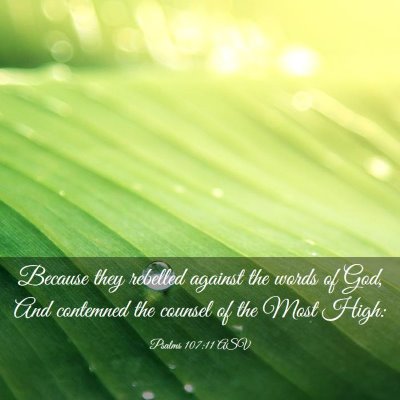 Picture 03 - Psalms 107:11 ASV - Because they rebelled against the words of God, - Bible Verse Picture