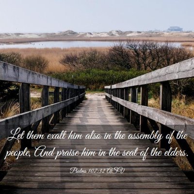 Picture 03 - Psalms 107:32 ASV - Let them exalt him also in the assembly of the - Bible Verse Picture