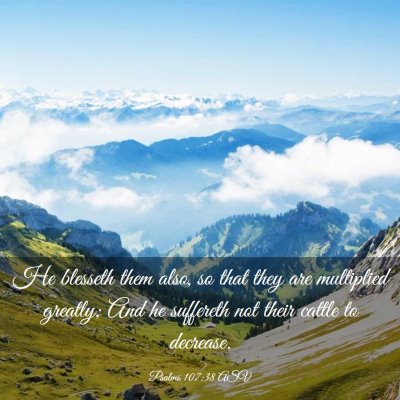 Picture 03 - Psalms 107:38 ASV - He blesseth them also, so that they are - Bible Verse Picture