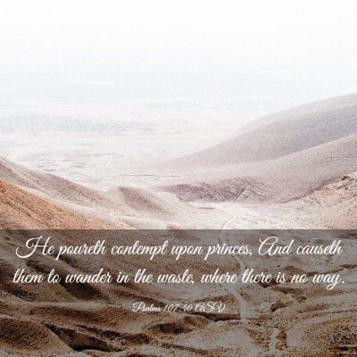 Picture 03 - Psalms 107:40 ASV - He poureth contempt upon princes, And causeth - Bible Verse Picture