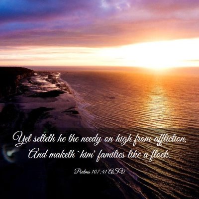 Picture 03 - Psalms 107:41 ASV - Yet setteth he the needy on high from affliction, - Bible Verse Picture