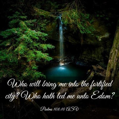 Picture 03 - Psalms 108:10 ASV - Who will bring me into the fortified city? Who - Bible Verse Picture