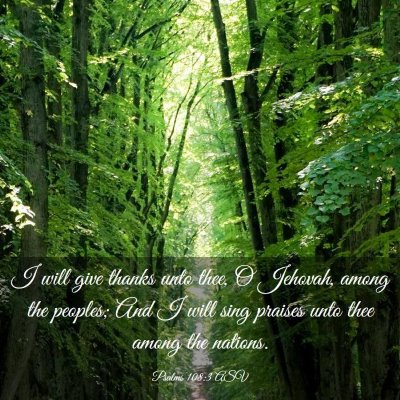 Picture 03 - Psalms 108:3 ASV - I will give thanks unto thee, O Jehovah, among - Bible Verse Picture