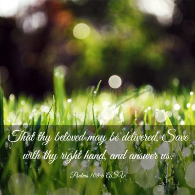 Picture 03 - Psalms 108:6 ASV - That thy beloved may be delivered, Save with thy - Bible Verse Picture