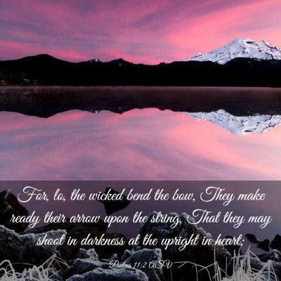 Picture 03 - Psalms 11:2 ASV - For, lo, the wicked bend the bow, They make ready - Bible Verse Picture