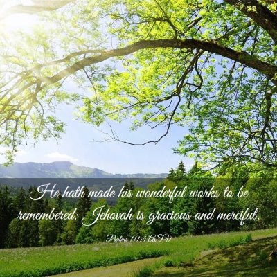 Picture 03 - Psalms 111:4 ASV - He hath made his wonderful works to be - Bible Verse Picture