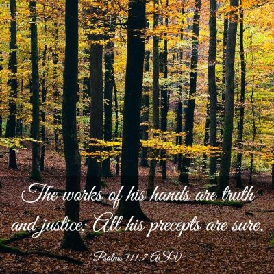 Picture 03 - Psalms 111:7 ASV - The works of his hands are truth and justice; All - Bible Verse Picture