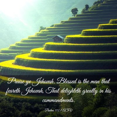 Picture 03 - Psalms 112:1 ASV - Praise ye Jehovah. Blessed is the man that - Bible Verse Picture