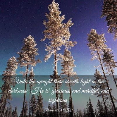 Picture 03 - Psalms 112:4 ASV - Unto the upright there ariseth light in the - Bible Verse Picture