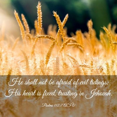 Picture 03 - Psalms 112:7 ASV - He shall not be afraid of evil tidings: His heart - Bible Verse Picture
