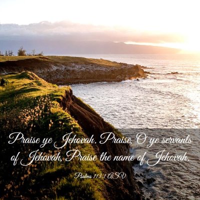 Picture 03 - Psalms 113:1 ASV - Praise ye Jehovah. Praise, O ye servants of - Bible Verse Picture