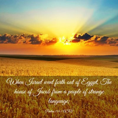 Picture 03 - Psalms 114:1 ASV - When Israel went forth out of Egypt, The house of - Bible Verse Picture