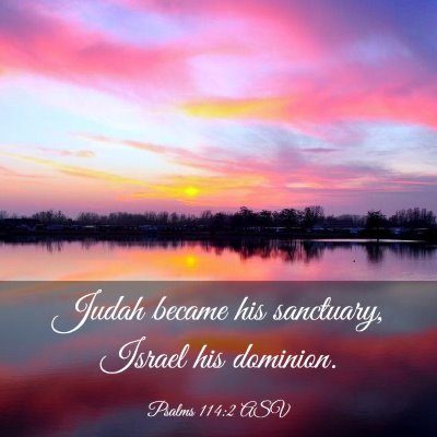 Picture 03 - Psalms 114:2 ASV - Judah became his sanctuary, Israel his - Bible Verse Picture