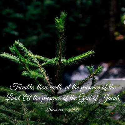 Picture 03 - Psalms 114:7 ASV - Tremble, thou earth, at the presence of the Lord, - Bible Verse Picture
