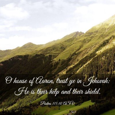 Picture 03 - Psalms 115:10 ASV - O house of Aaron, trust ye in Jehovah: He is - Bible Verse Picture