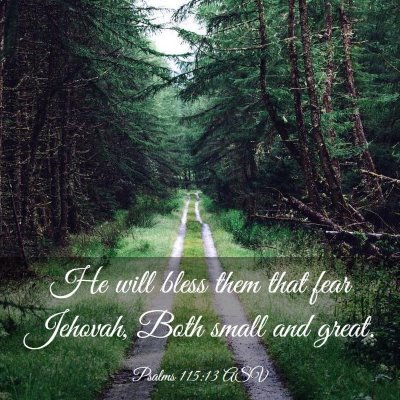 Picture 03 - Psalms 115:13 ASV - He will bless them that fear Jehovah, Both small - Bible Verse Picture