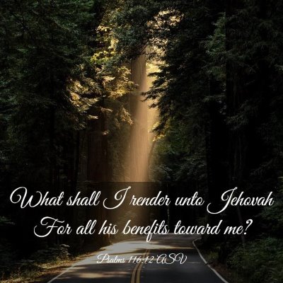 Picture 03 - Psalms 116:12 ASV - What shall I render unto Jehovah For all his - Bible Verse Picture