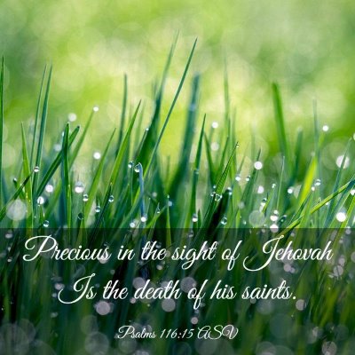 Picture 03 - Psalms 116:15 ASV - Precious in the sight of Jehovah Is the death of - Bible Verse Picture