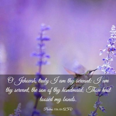Picture 03 - Psalms 116:16 ASV - O Jehovah, truly I am thy servant: I am thy - Bible Verse Picture