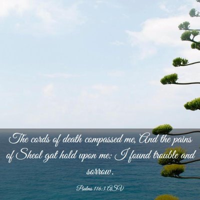 Picture 03 - Psalms 116:3 ASV - The cords of death compassed me, And the pains of - Bible Verse Picture