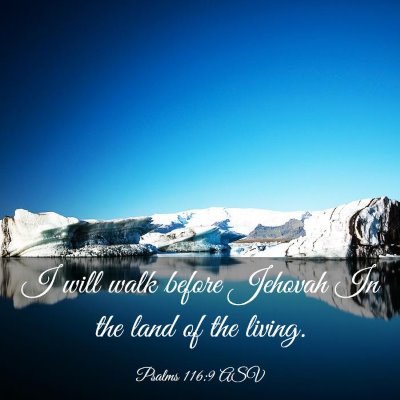 Picture 03 - Psalms 116:9 ASV - I will walk before Jehovah In the land of the - Bible Verse Picture